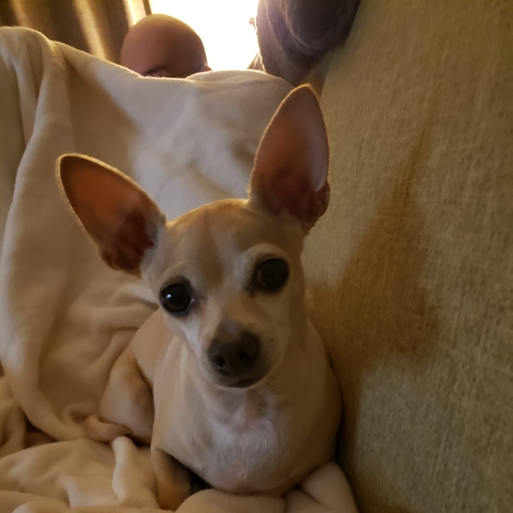 Meet your Posher, Glenn